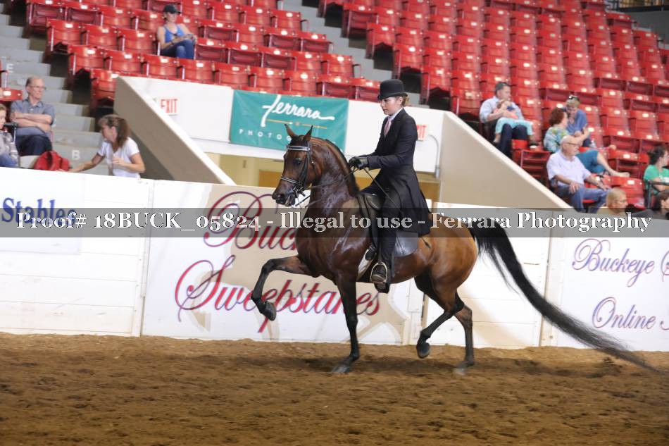 Proof 18BUCK_05824