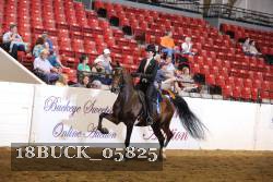 18BUCK_05825 proof