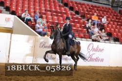 18BUCK_05826 proof