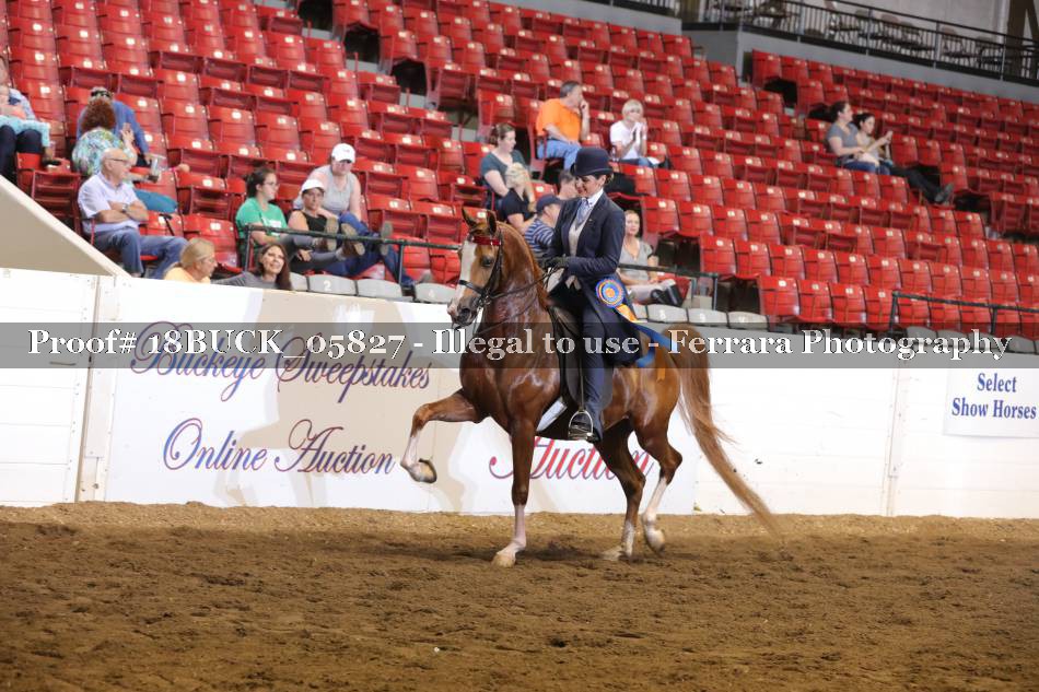 Proof 18BUCK_05827