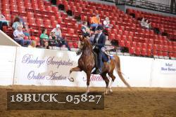 18BUCK_05827 proof