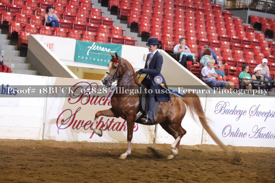 Proof 18BUCK_05828