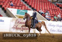 18BUCK_05828 proof