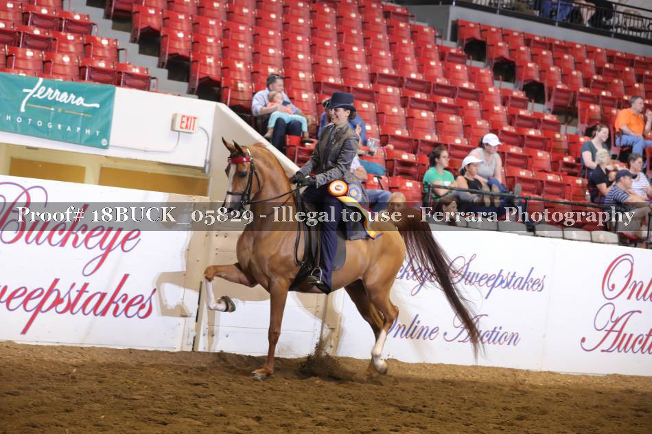 Proof 18BUCK_05829