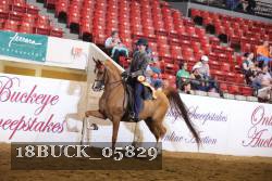 18BUCK_05829 proof