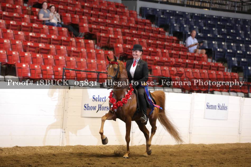 Proof 18BUCK_05831
