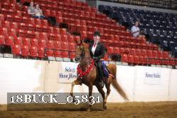 18BUCK_05831 proof