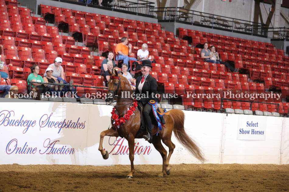 Proof 18BUCK_05832