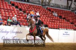 18BUCK_05832 proof