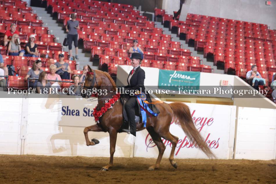 Proof 18BUCK_05833