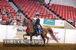 18BUCK_05833 proof