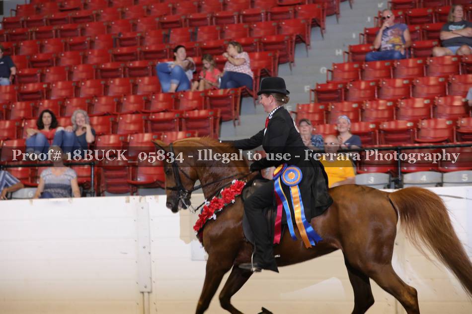 Proof 18BUCK_05834