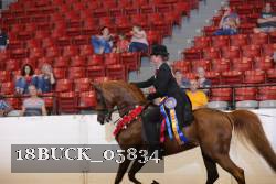 18BUCK_05834 proof