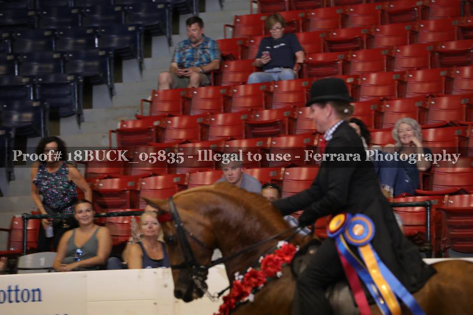 Proof 18BUCK_05835
