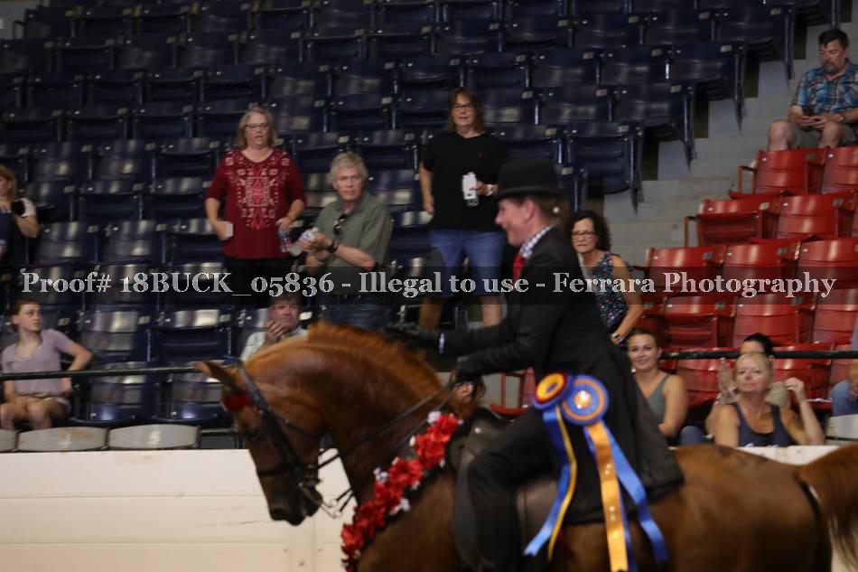Proof 18BUCK_05836