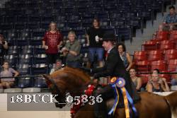 18BUCK_05836 proof