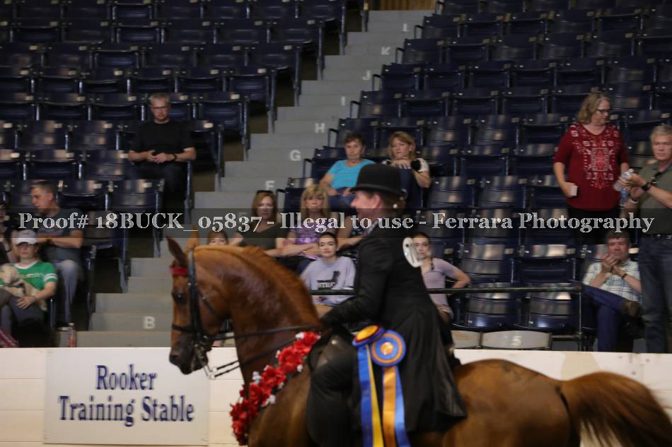 Proof 18BUCK_05837