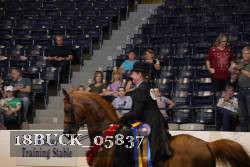 18BUCK_05837 proof