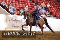18BUCK_05838 proof