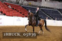 18BUCK_05839 proof