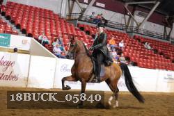18BUCK_05840 proof