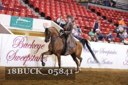 18BUCK_05841 proof