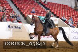 18BUCK_05842 proof