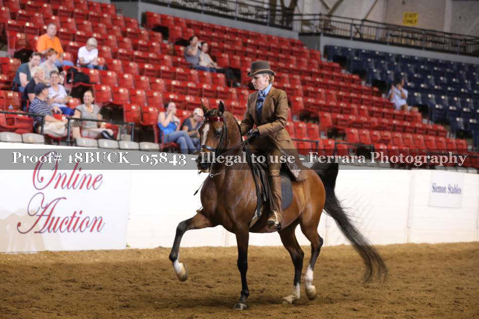 Proof 18BUCK_05843