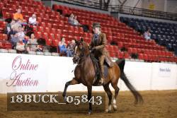 18BUCK_05843 proof