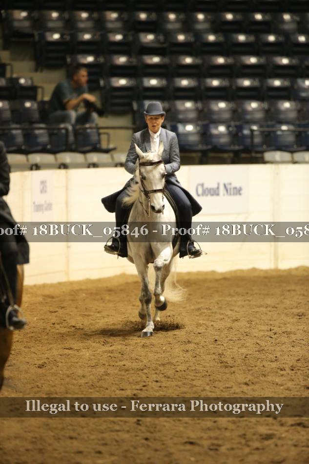 Proof 18BUCK_05846
