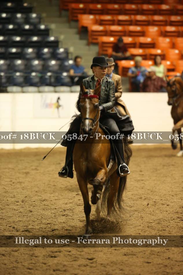 Proof 18BUCK_05847