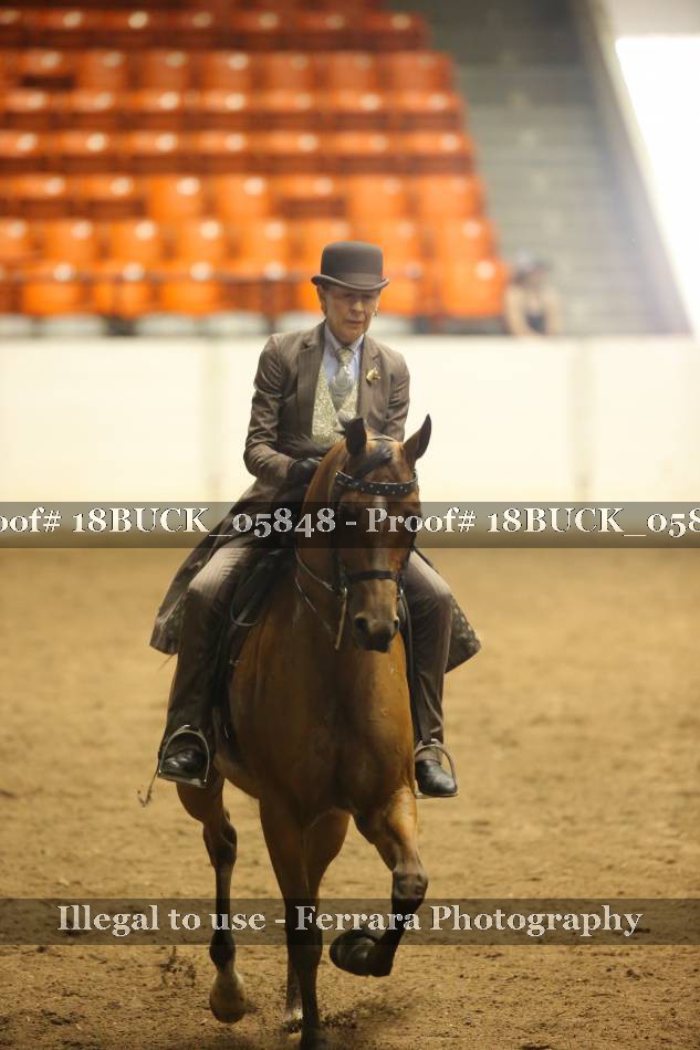 Proof 18BUCK_05848