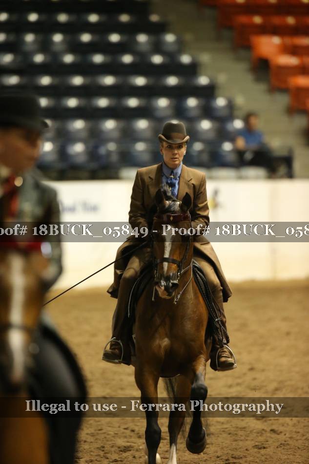 Proof 18BUCK_05849
