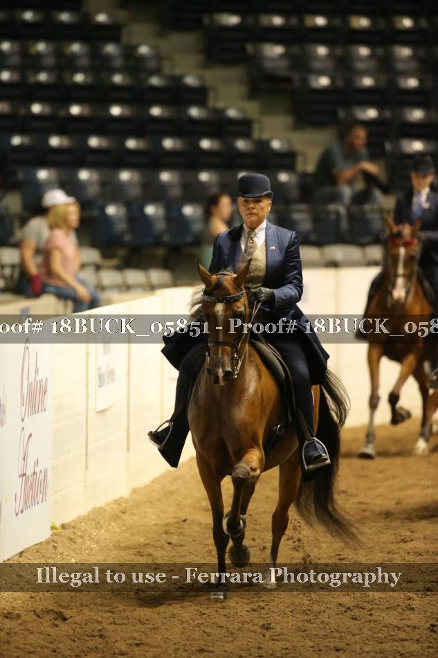 Proof 18BUCK_05851