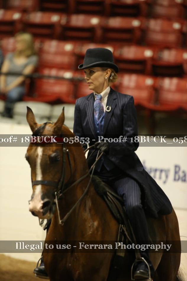 Proof 18BUCK_05853