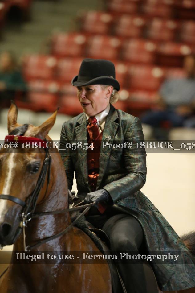 Proof 18BUCK_05854