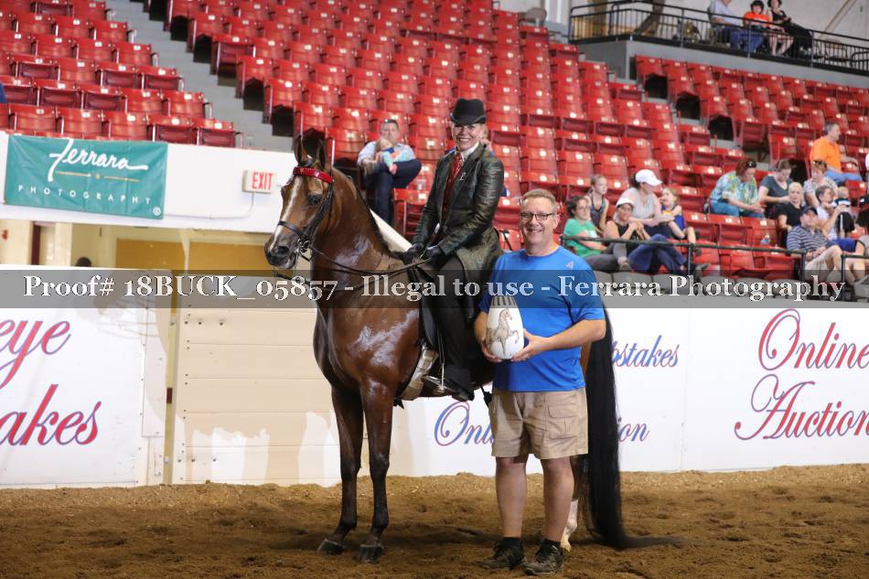 Proof 18BUCK_05857