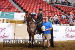 18BUCK_05857 proof