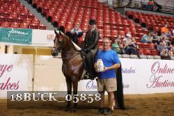18BUCK_05858 proof