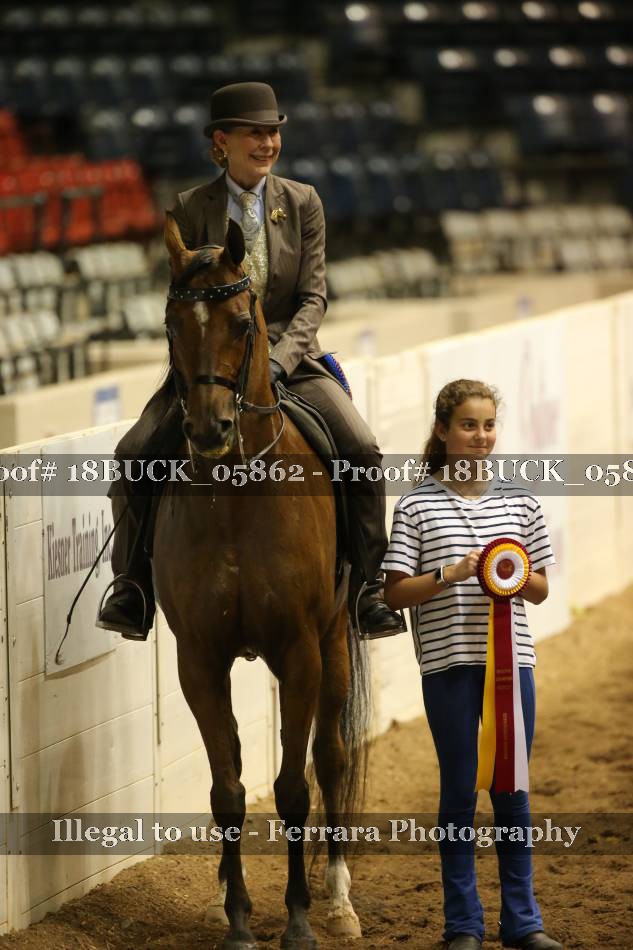 Proof 18BUCK_05862