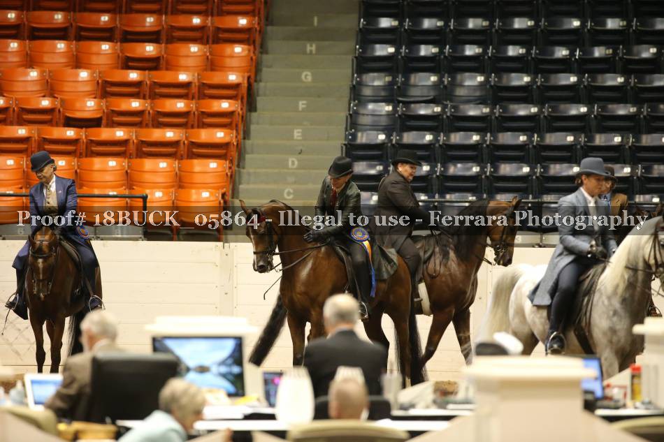 Proof 18BUCK_05864