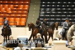 18BUCK_05864 proof