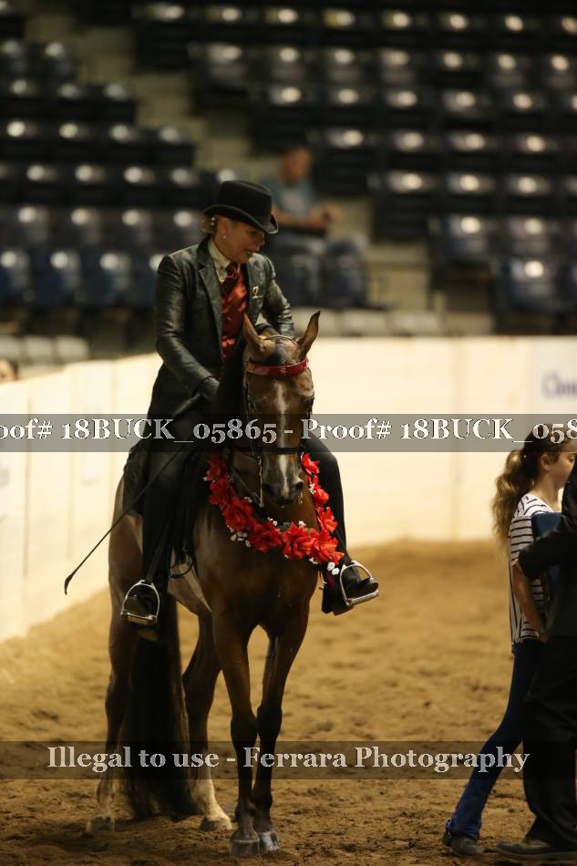 Proof 18BUCK_05865