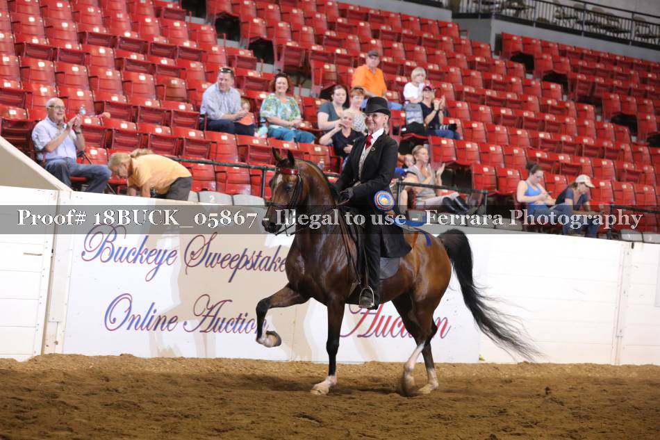 Proof 18BUCK_05867