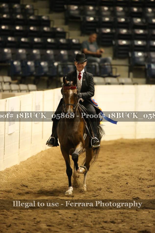 Proof 18BUCK_05868