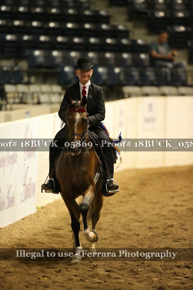 Proof 18BUCK_05869