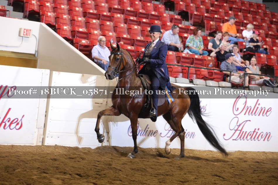 Proof 18BUCK_05871