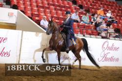 18BUCK_05871 proof