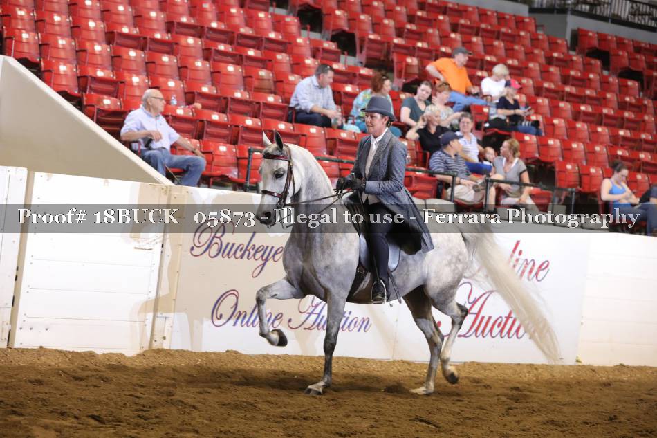 Proof 18BUCK_05873