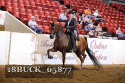 18BUCK_05877 proof